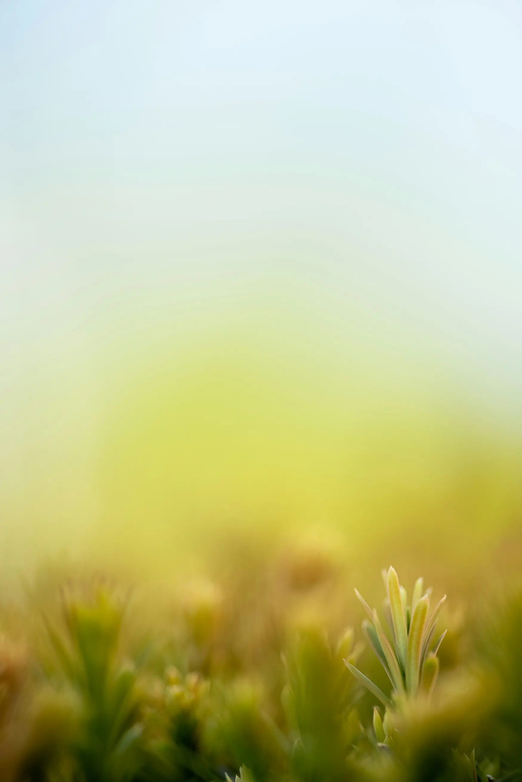 Headerbild: Impressum